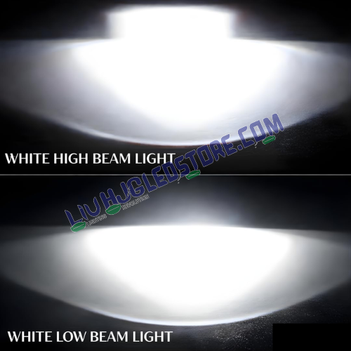 HJG H4 Dual Projector LED Headlight Bulb 50W | 5000LM Hi/Lo Beam, White Light, Mini Projector with Cooling Fan, (Single Unit)White Light for Bikes & Cars (12V/24V)